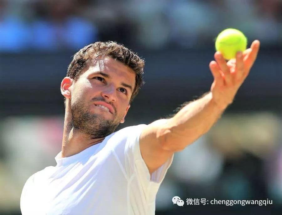 球员们的斗 球员们的斗